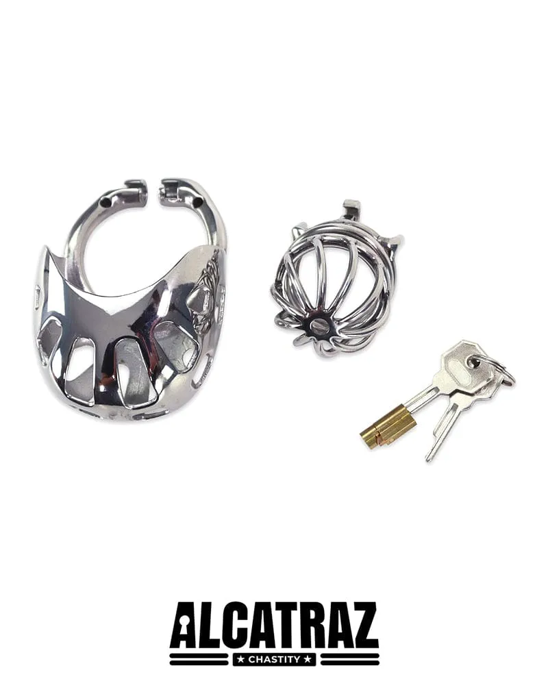 0995AR      Balls and All Full Coverage Locking Steel Chastity Device, 2" Cock Ring - MEGA Deal