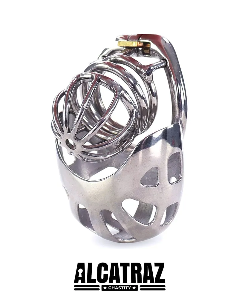 0995AR      Balls and All Full Coverage Locking Steel Chastity Device, 2" Cock Ring - MEGA Deal