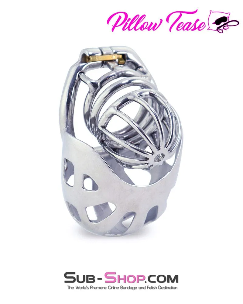 0995AR      Balls and All Full Coverage Locking Steel Chastity Device, 2" Cock Ring - MEGA Deal