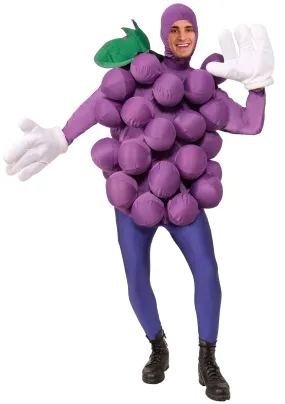 Adults Purple Grape Costume