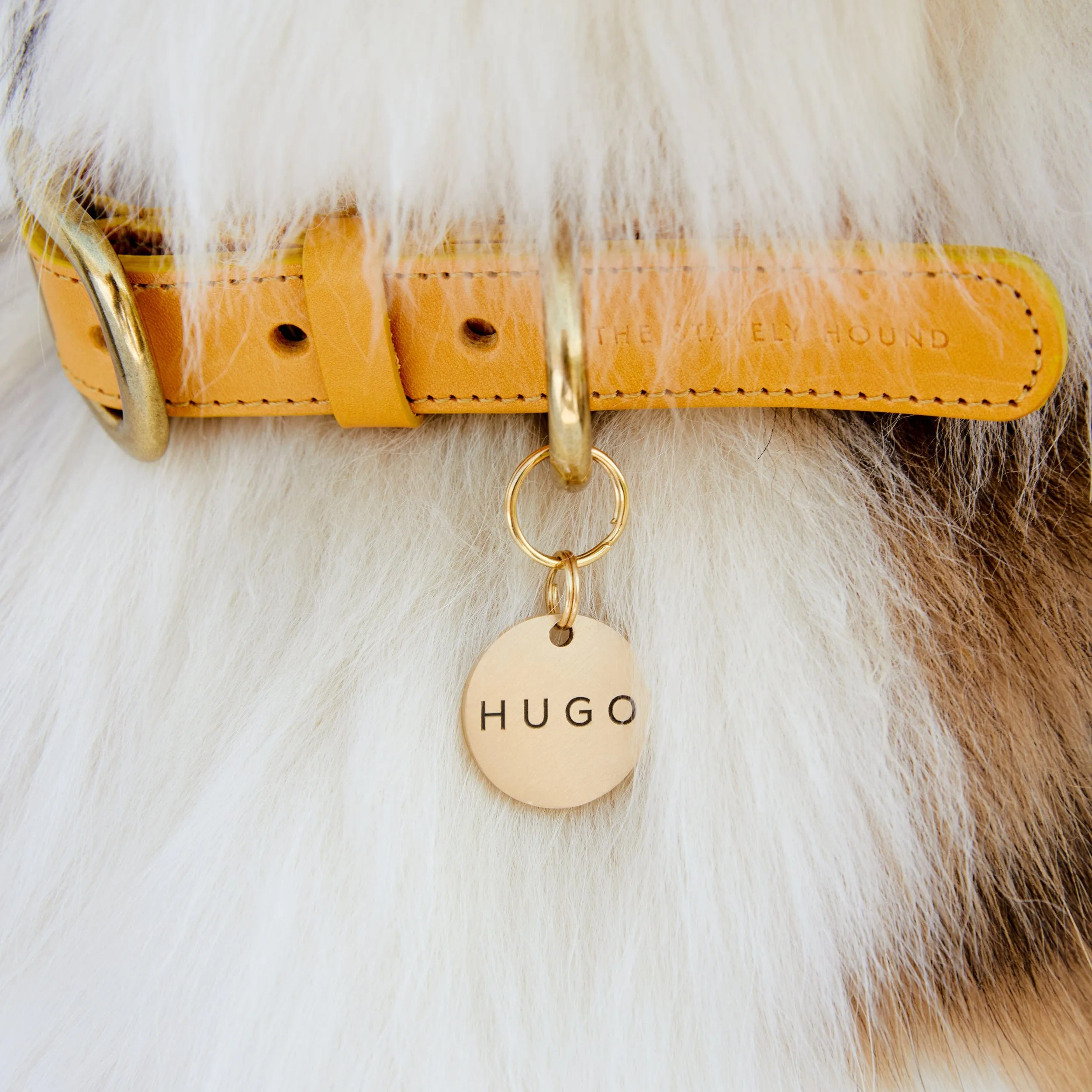 Amber Yellow Leather Dog Collar – Stylish & Soft