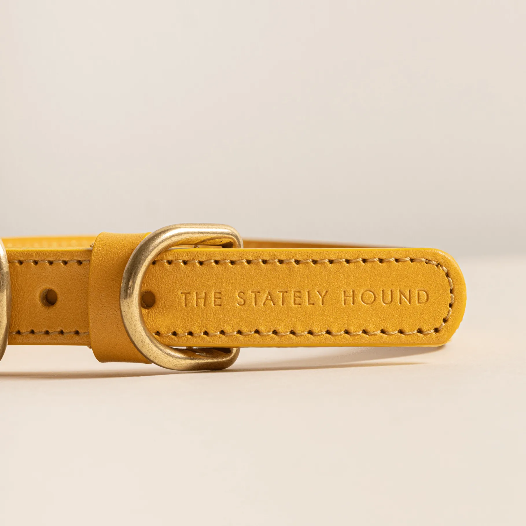 Amber Yellow Leather Dog Collar – Stylish & Soft