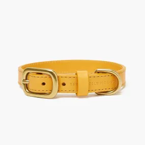 Amber Yellow Leather Dog Collar – Stylish & Soft