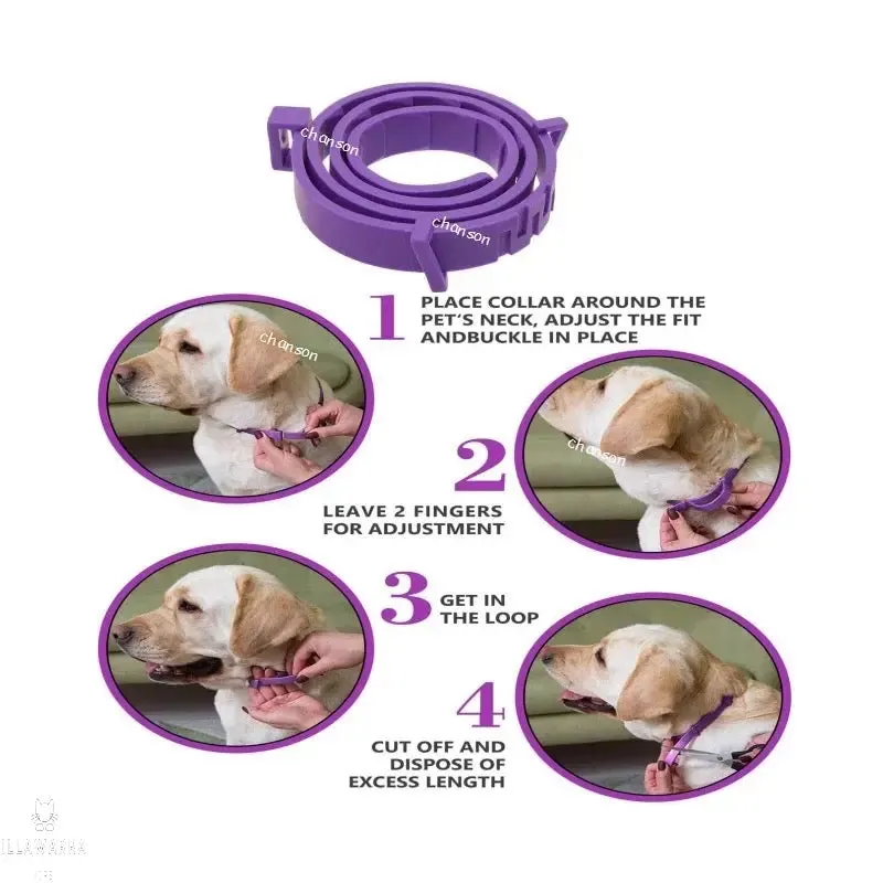 Dog Calming Collar