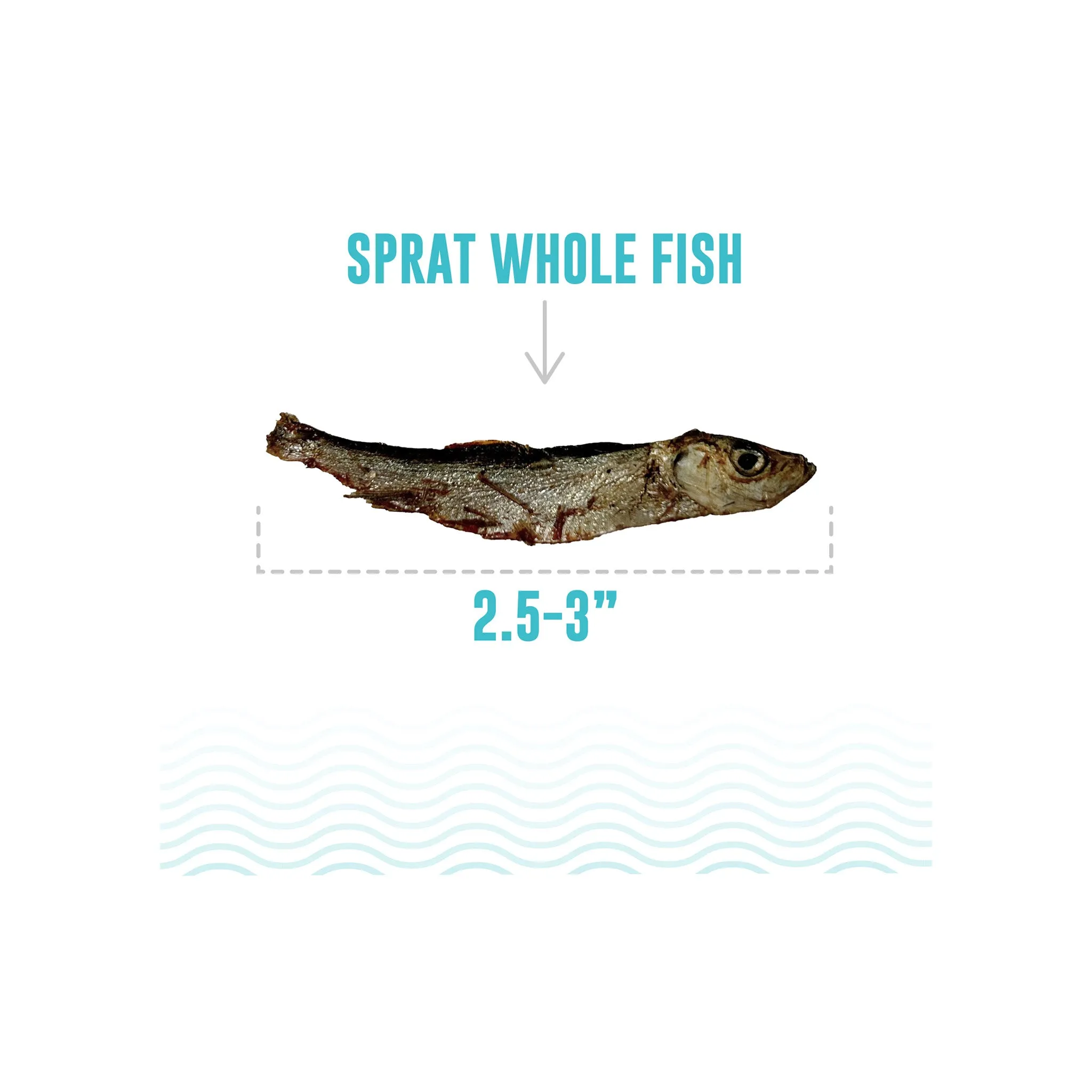 Icelandic  Grain-Free Whole Fish Cat Treats