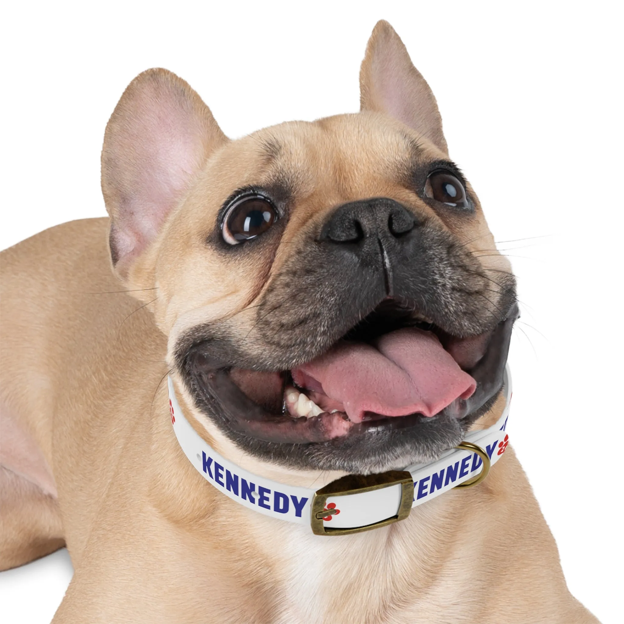 Kennedy '24 Dog Collar