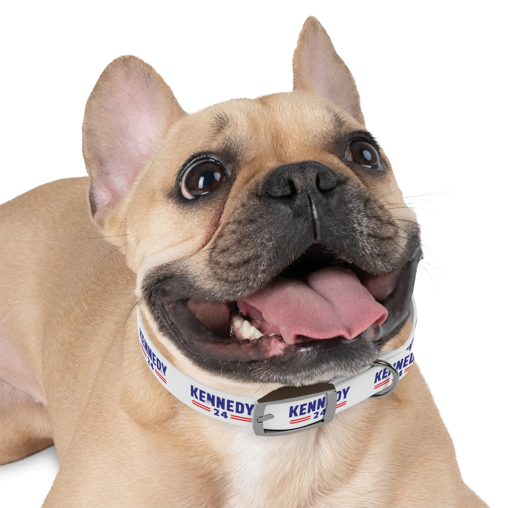 Kennedy Classic Dog Collar