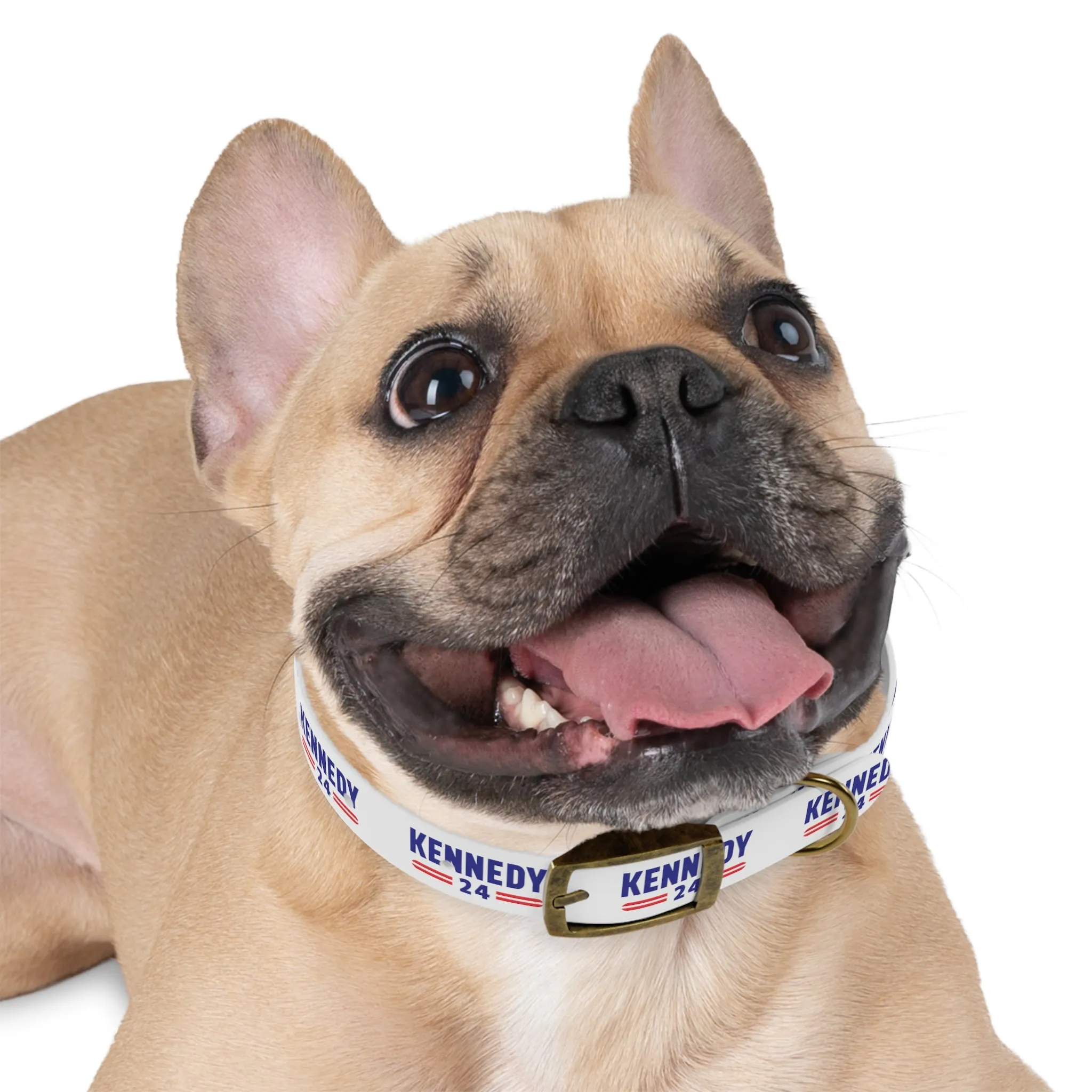 Kennedy Classic Dog Collar