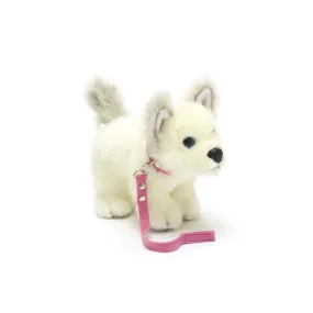 Medium Lumi Husky with Pink Collar & Lead