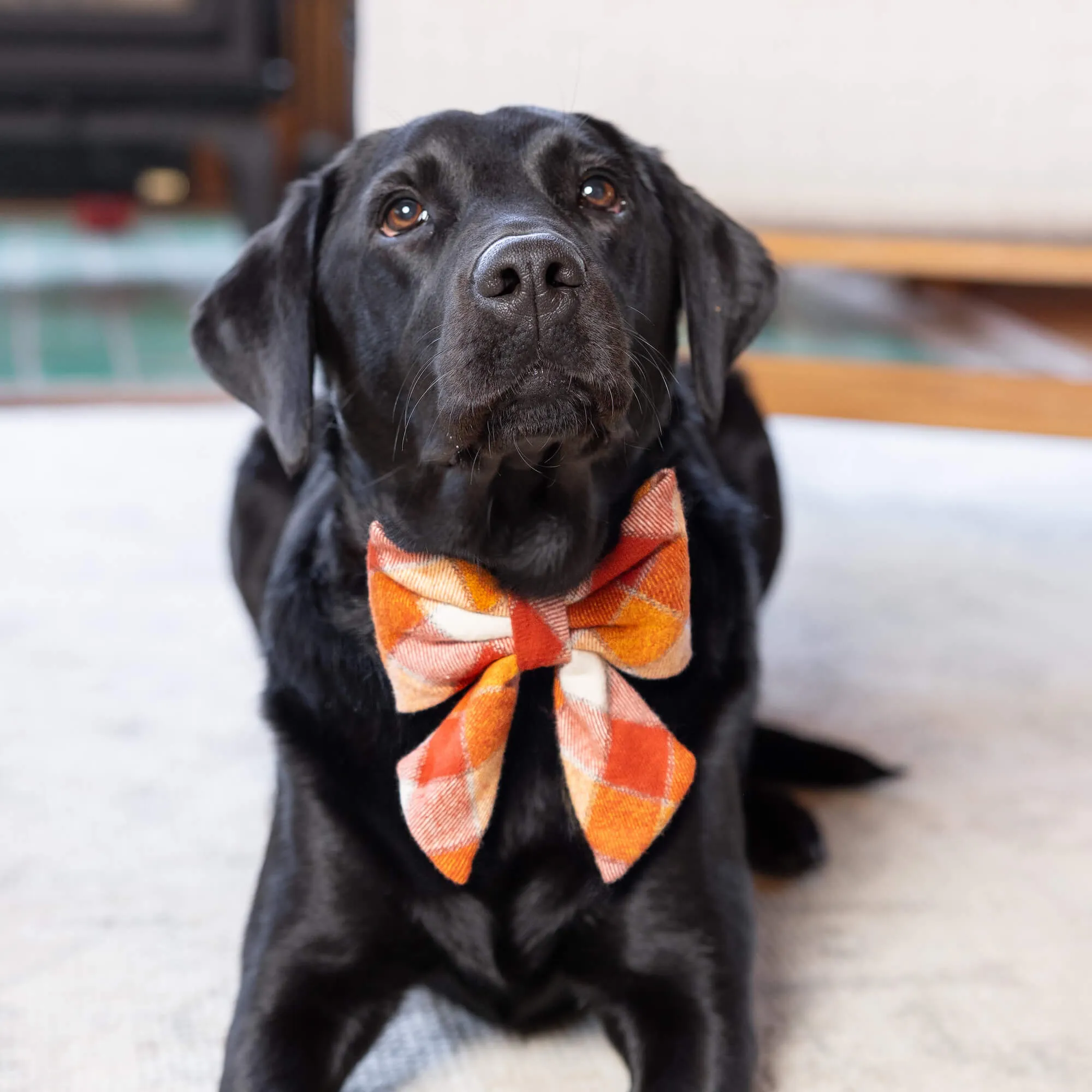 Pumpkin Spice Plaid Flannel Lady Dog Bow