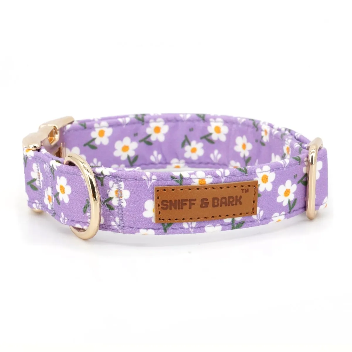 Purple Daisy Bowtie Unbreakable Collar™ & Leash Set